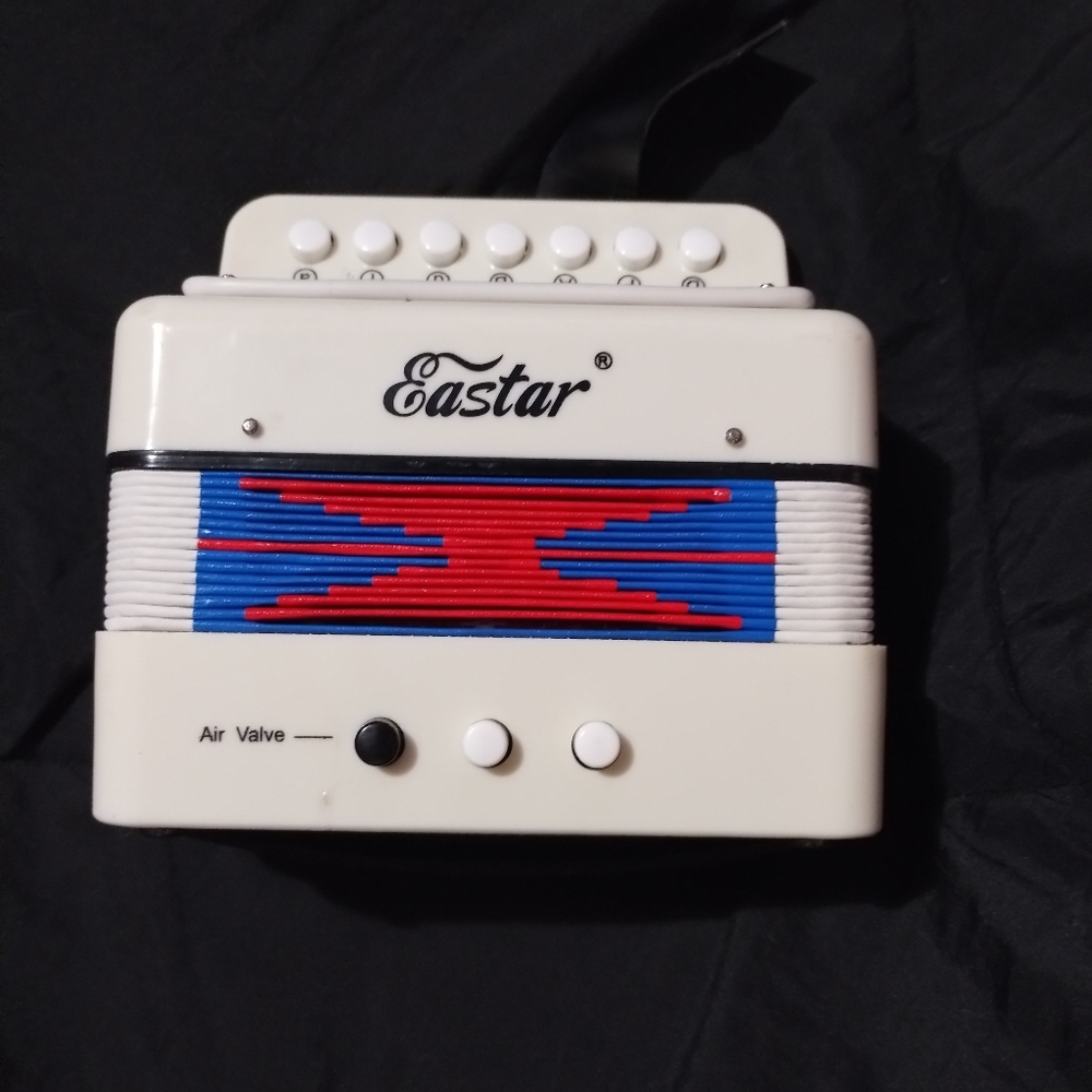 Eastar Kid’s accordion